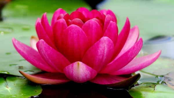 Image is not available